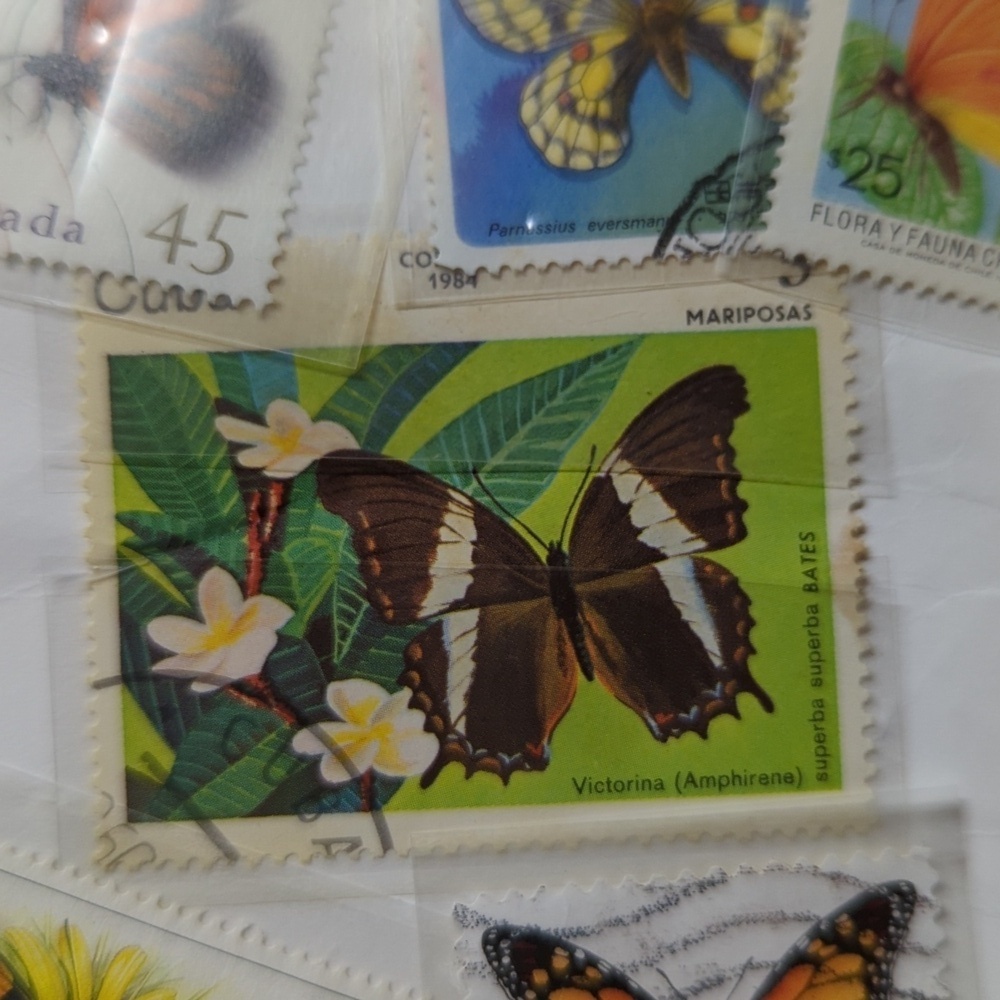 Butterfly Stamps - Picture 5 of 7